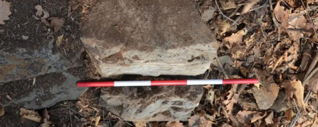 实地研究方法 关于实地研究方法