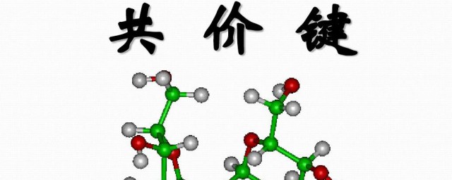 什么是共价键 共价键是什么