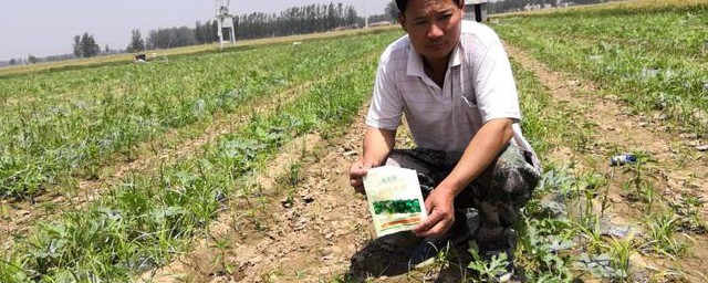 花生地除草剂使用办法 如何在花生地喷洒除草剂