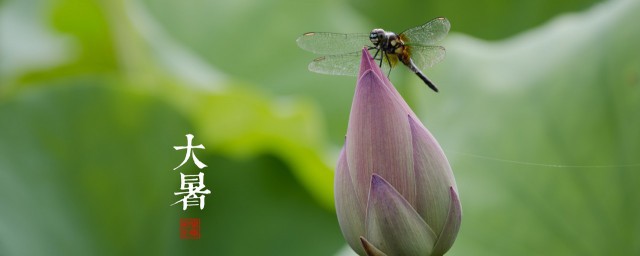 大暑节气的由来和风俗 大暑节气的由来及风俗