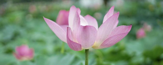 头伏是如何定的 头伏是怎么算出来的