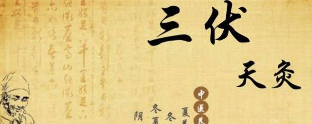 为什么三伏天调理身体好得快 三伏天调理身体好得快吗