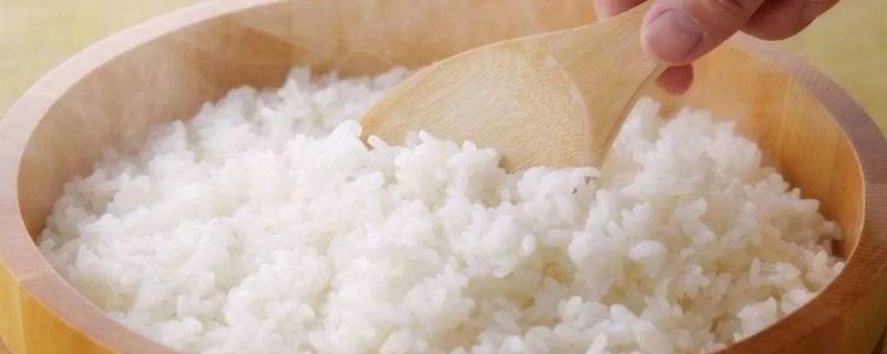 葱花饼和米饭哪个热量高