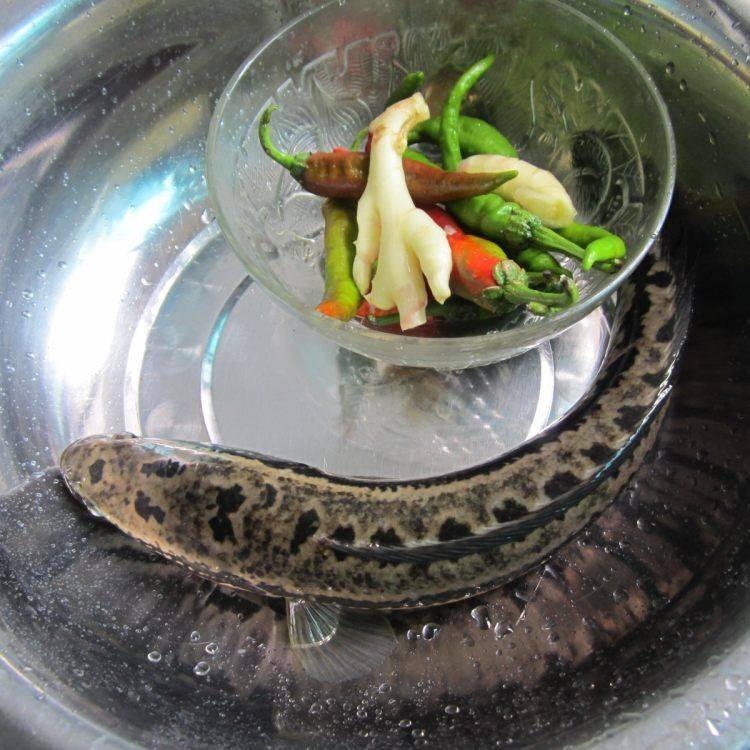 柴鱼怎么炒