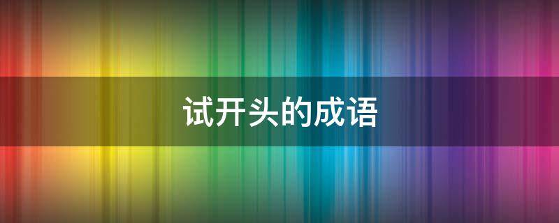 试开头的成语