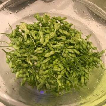 夜香花怎么做才好吃