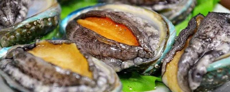 鲍鱼壳很脏怎样炖汤