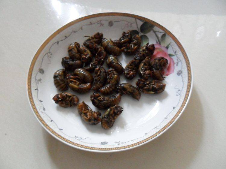 爬蚱怎么做才好吃