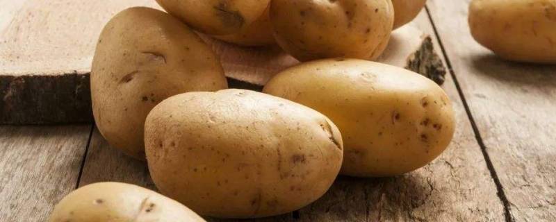 怎样保存土豆不发芽不变绿