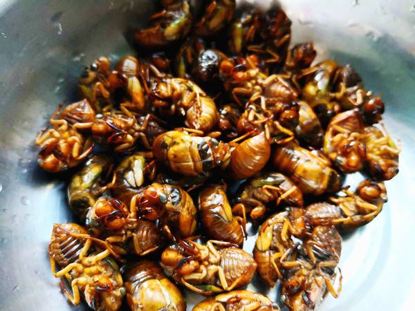 爬叉怎么吃