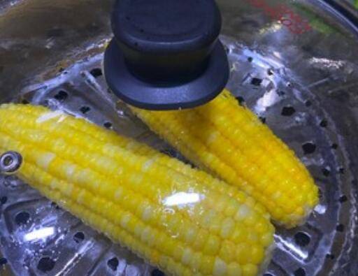 玉米隔水蒸多久能熟
