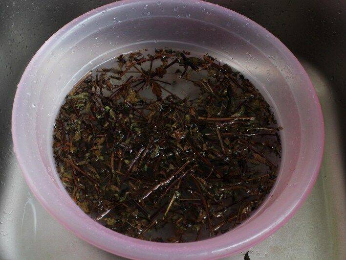 烧仙草怎么做才好吃