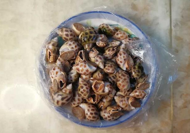 白灼花螺冷水还是热水煮