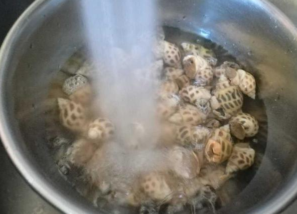 白灼花螺冷水还是热水煮
