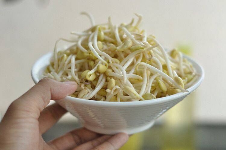 豆芽怎么做好吃炒