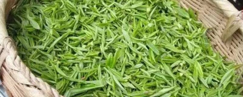 炒茶叶怎么炒