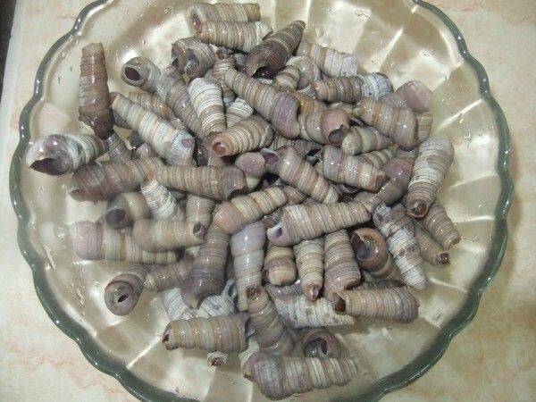 丁螺怎么炒