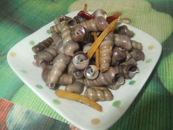 丁螺怎么炒