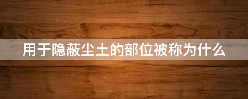用于隐蔽尘土的部位被称为什么