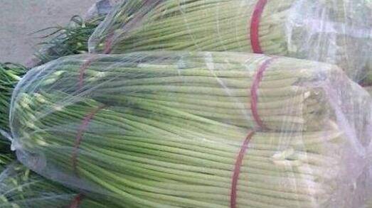 蒜苔吃不完怎么保存