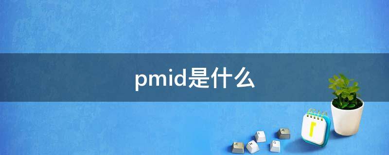 pmid是什么