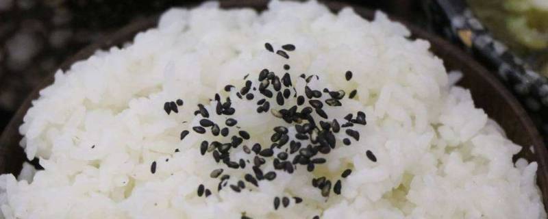 饭放冰箱能放多久