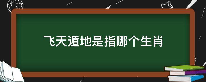 飞天遁地是指哪个生肖