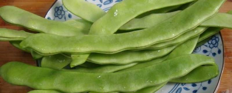 什么豆角炒不熟有毒