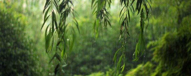 梅雨季什么时候结束2020