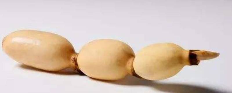 藕节如何炒好吃又简单