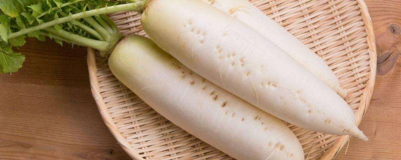 白萝卜常温下如何保存