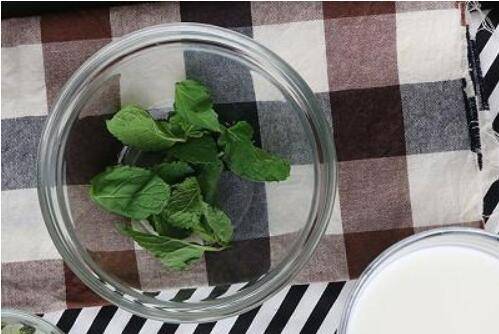 薄荷奶绿怎么做
