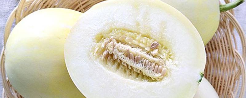 白皮甜瓜怎么挑选