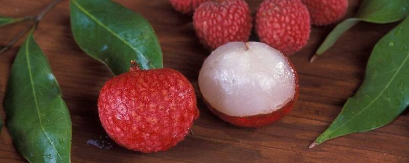 如何看荔枝坏没坏