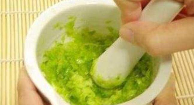 芦荟做菜怎么做好吃