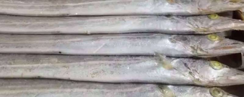 冷冻带鱼怎样去腥