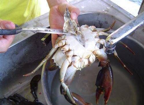 清蒸螃蟹如何清洗