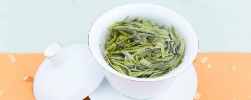 龙井茶泡法