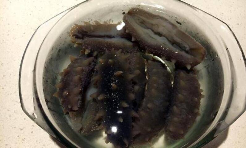 干海参如何泡发