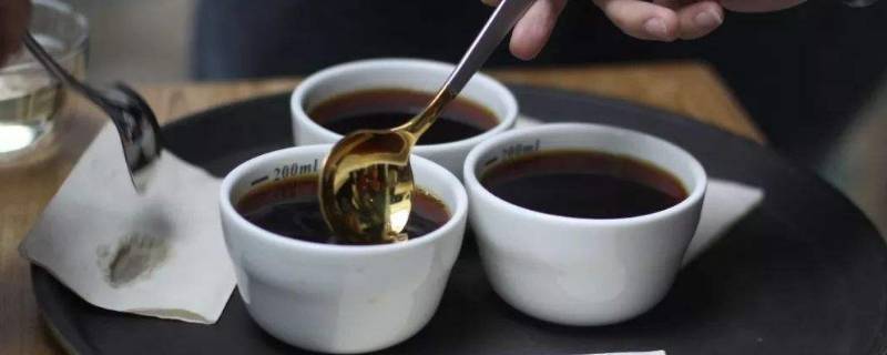 泡咖啡的正确方法