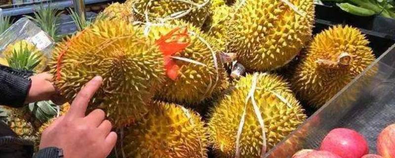 榴莲怎么开