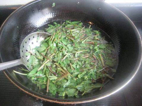马齿笕怎么炒好吃