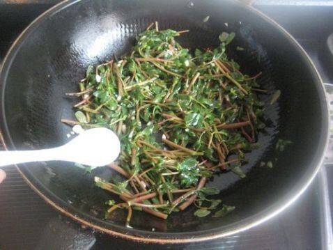 马齿笕怎么炒好吃