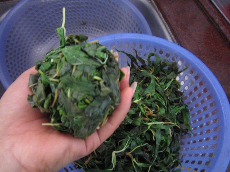 麻叶怎么炒