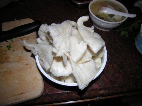 凤尾菇怎么炒好吃