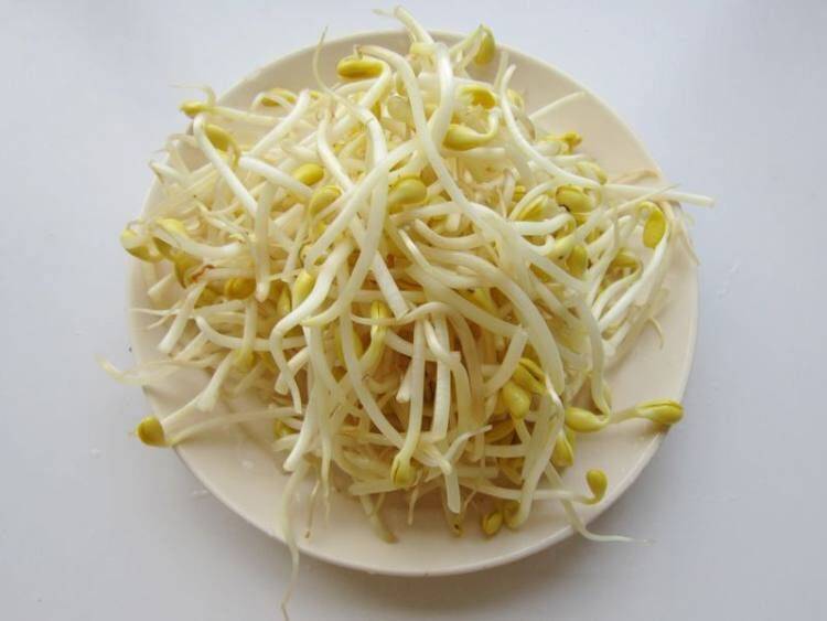 豆芽炒肉怎么做好吃