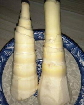 鲜笋炖汤的做法