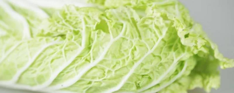 水白菜怎么炒