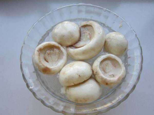 圆菇怎么炒