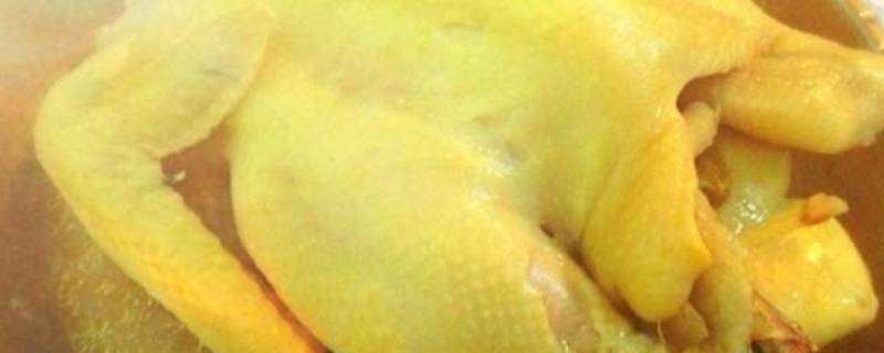 清蒸鸡怎样做